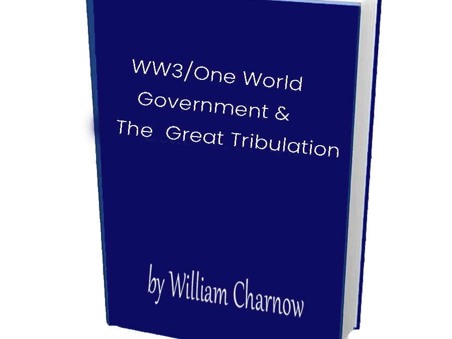 Next Stop WW3 and One World Government