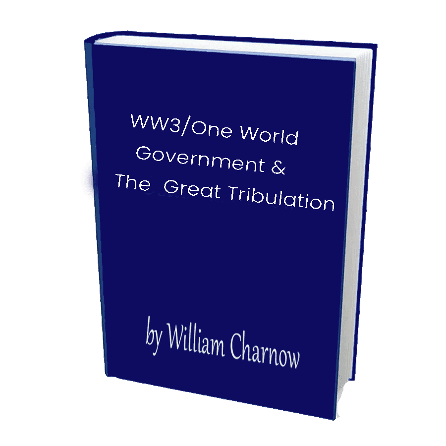 Next Stop WW3 and One World Government