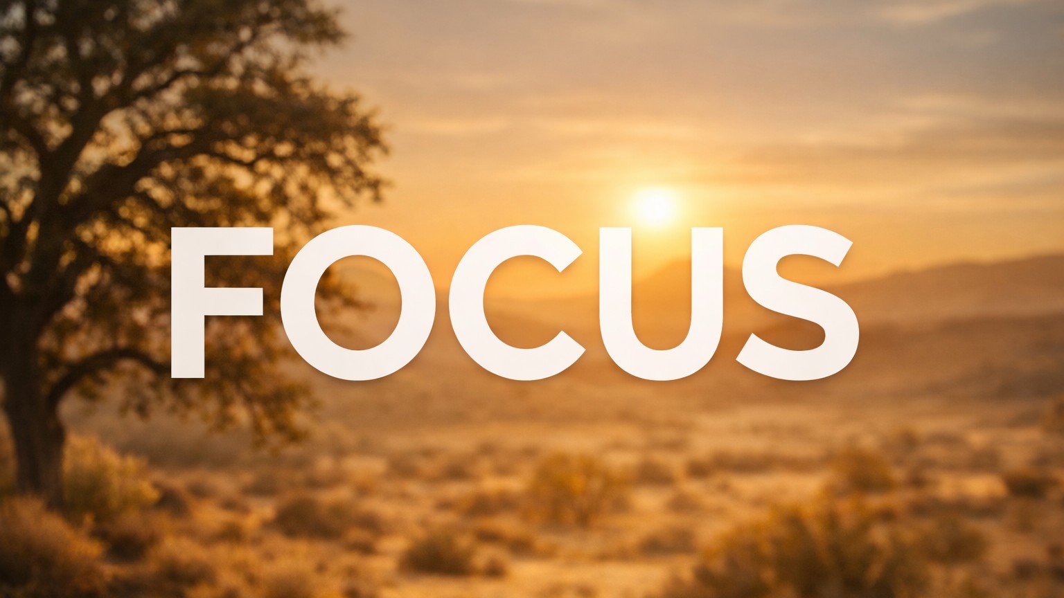 focus