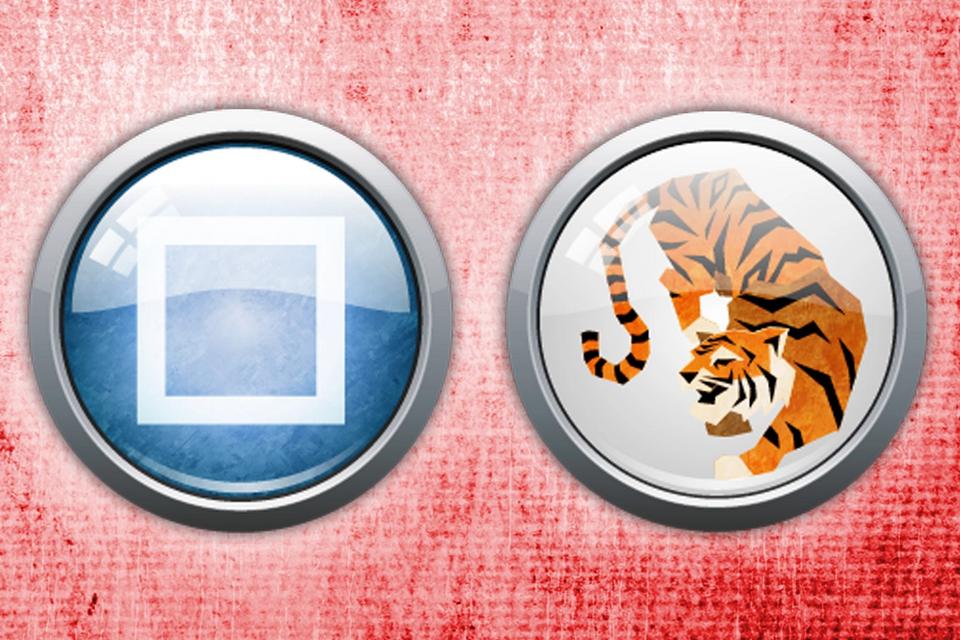 chinese zodiac: tiger