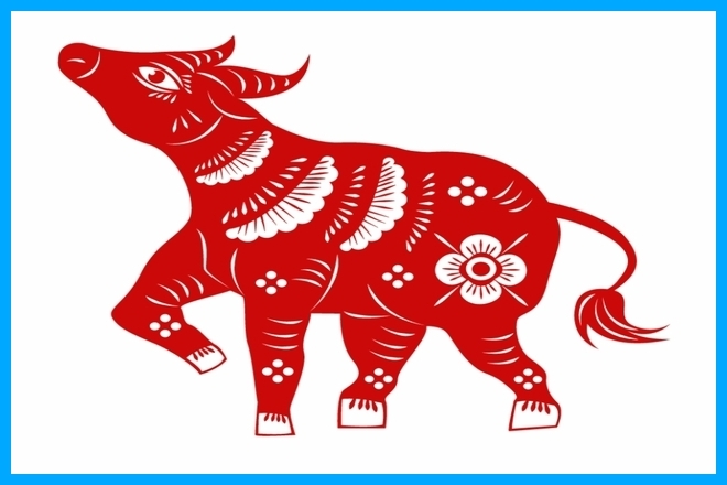chinese zodiac: the ox