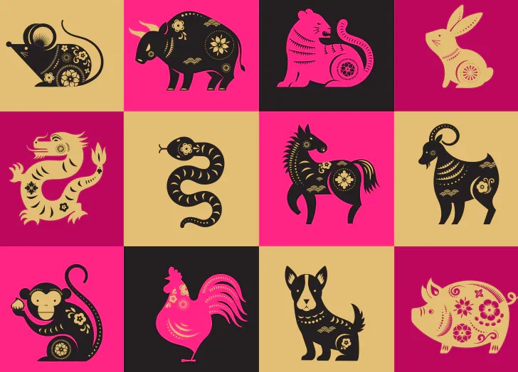 chinese zodiac